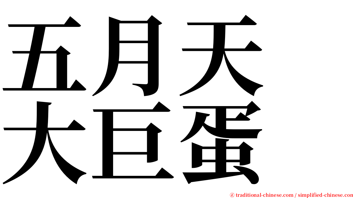 五月天　大巨蛋 serif font